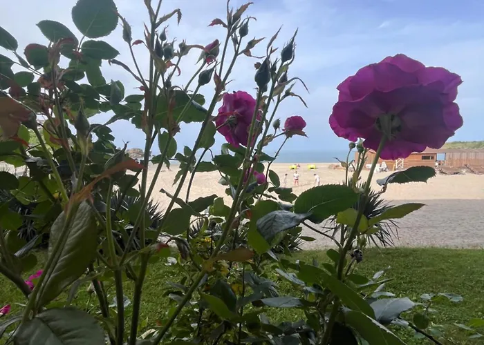 Appartement Primea Private Tsarevo